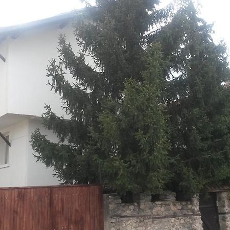 Guest House Khizhina - Easy Home Sapareva Banya Exterior foto